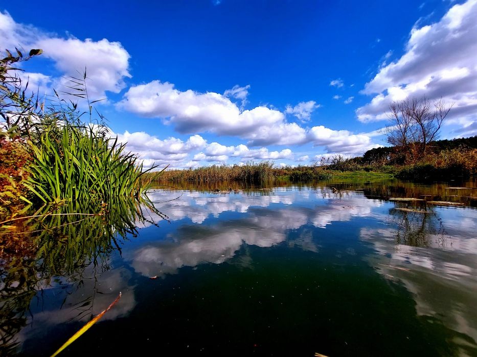 Domek , domki nad jeziorem Serbinówka.
