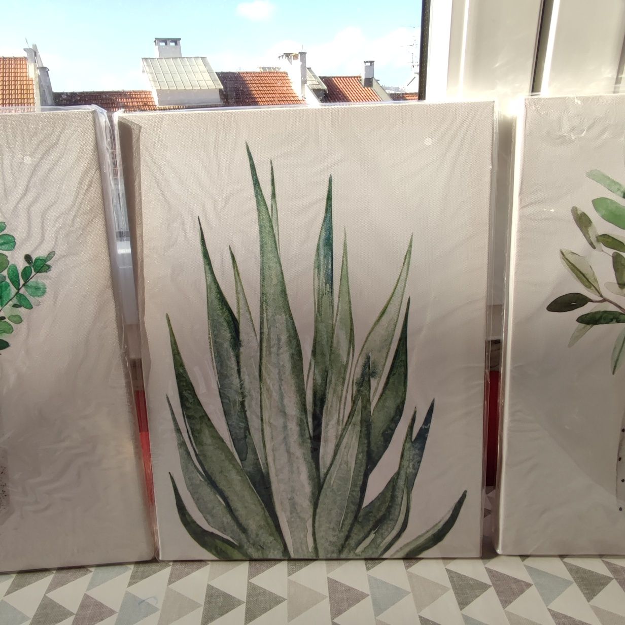 Conjunto 3 quadros parede canvas flores Vasos aloe vera