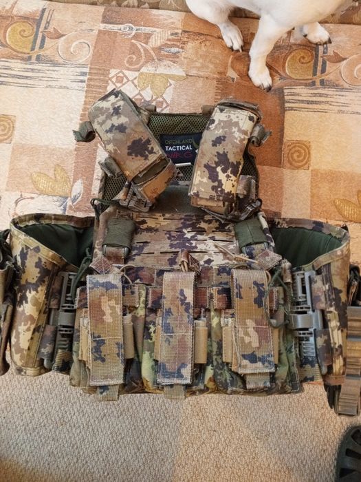 Плитоноска ,Італія