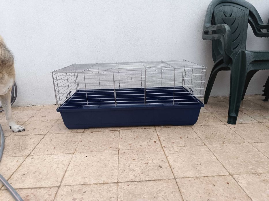 Gaiola coelho / porco da Índia grande