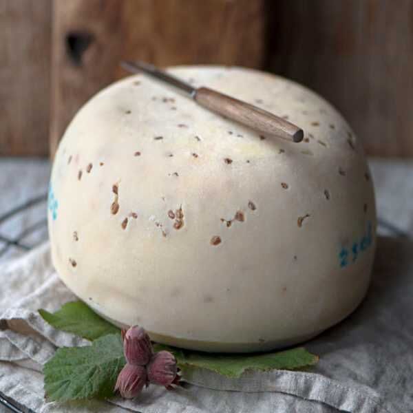 Sery kozie TWARDE ser kozi ekologiczny, certyfikat gouda twardy kozia