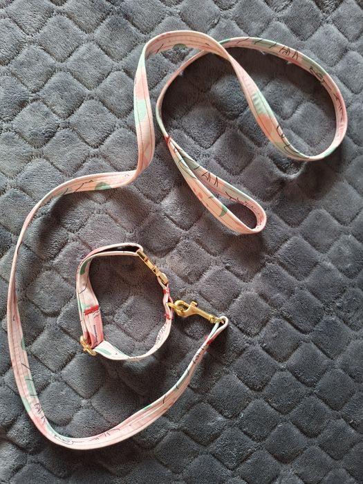 Obróżka i smyczka na małego pieska