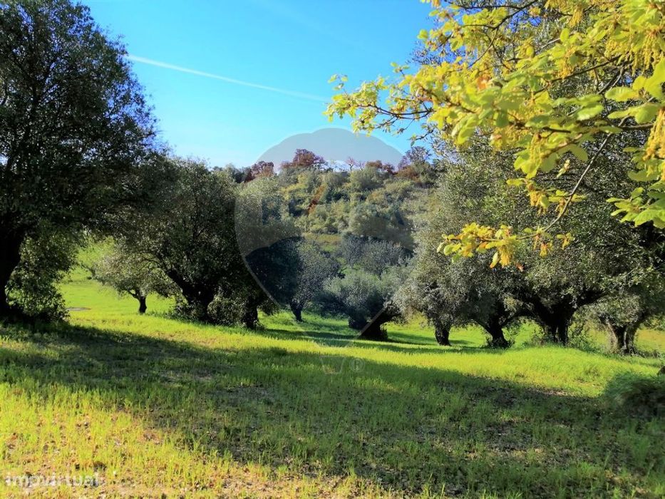 Terreno  para venda
