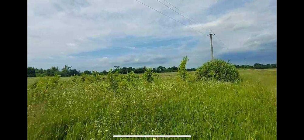 Продам участок, с. Копылов (Бучанский) 38 соток, Собственник!