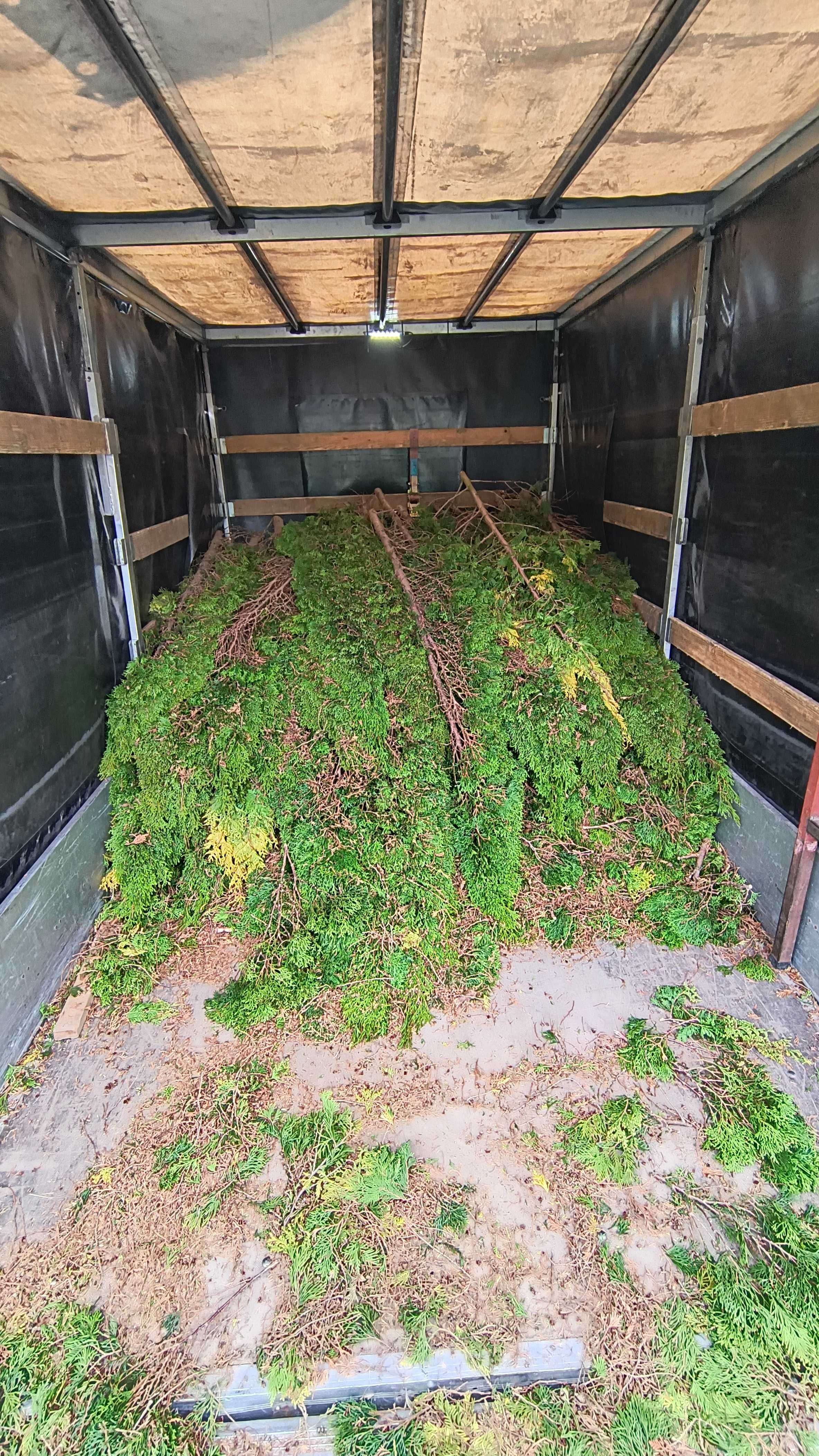Usługi transportowe, transport, bus z windą, 
 przeprowadzki