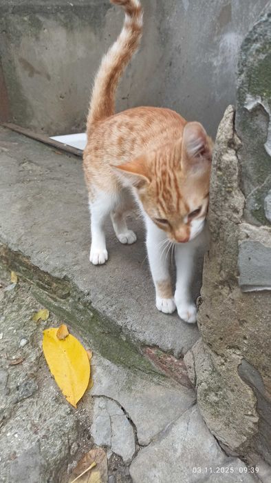 Срочно! Маленкое солнышко ищет любящую семью