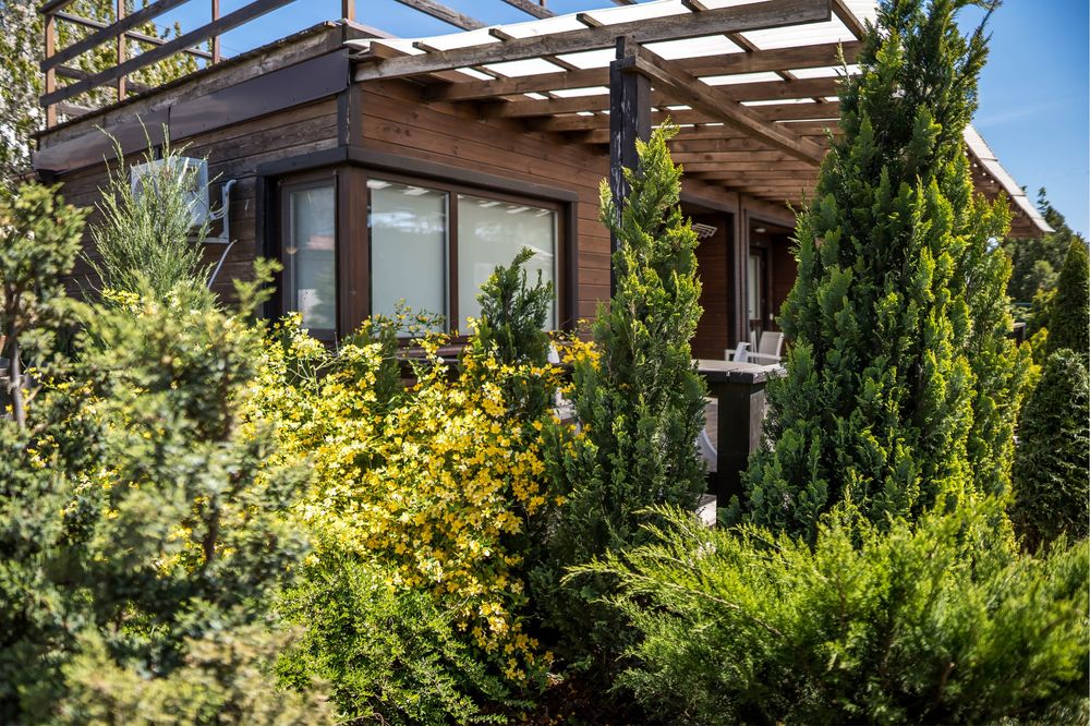 Здаються номера, подобово в готелі Green Hotel, Чорноморськ