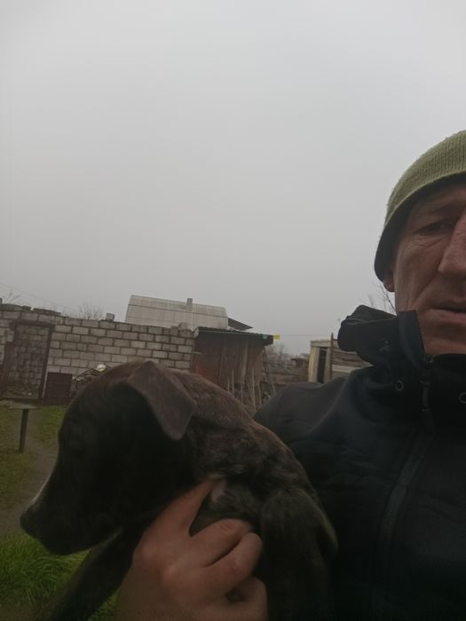 Стаф в добрые руки