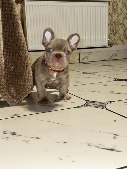 Супер якість хлопчик