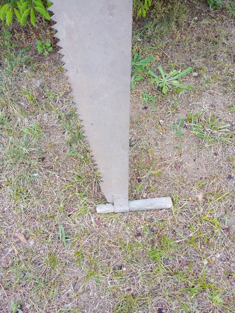 Stara piła twoja moja