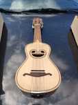 Cavaquinho de oito cordas artmusica