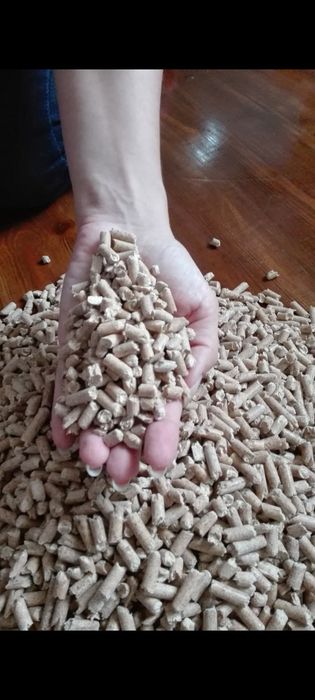 Pellet drzewny z sosny