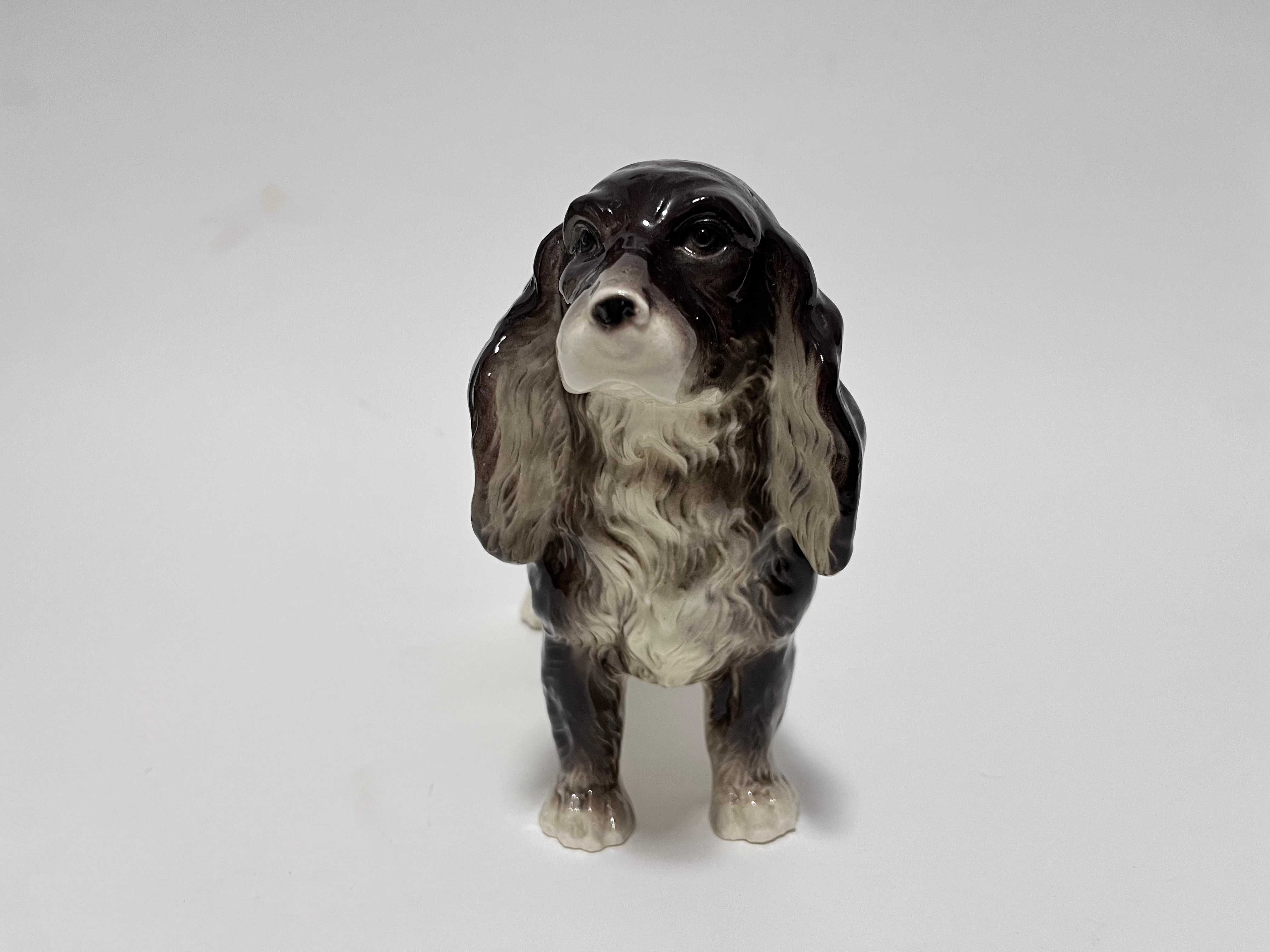 Porcelanowa figurka psa rasy Cocker Spaniel. Niemcy