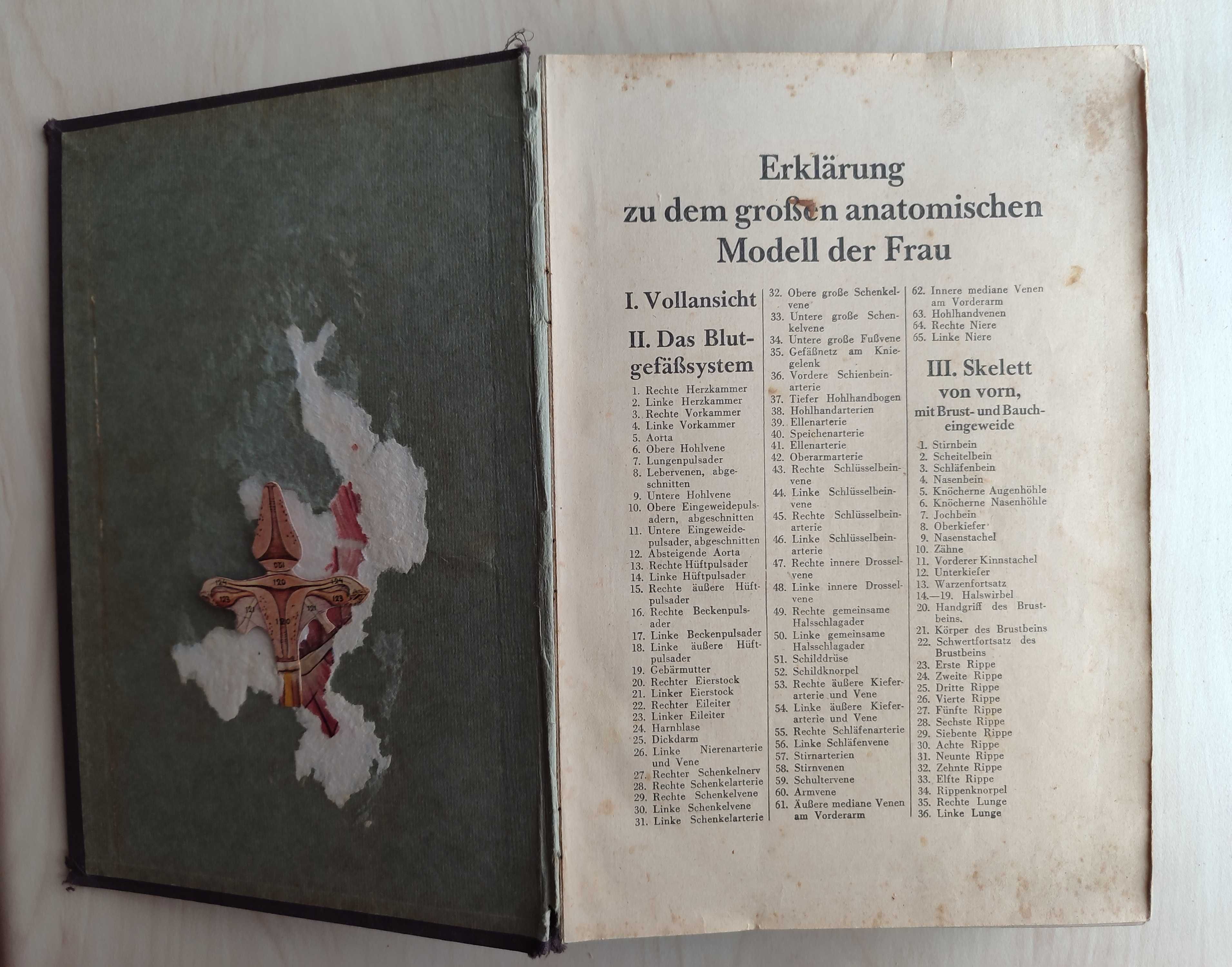Mein Korper – M. Sendenholm, książka unikat z 1930 r.