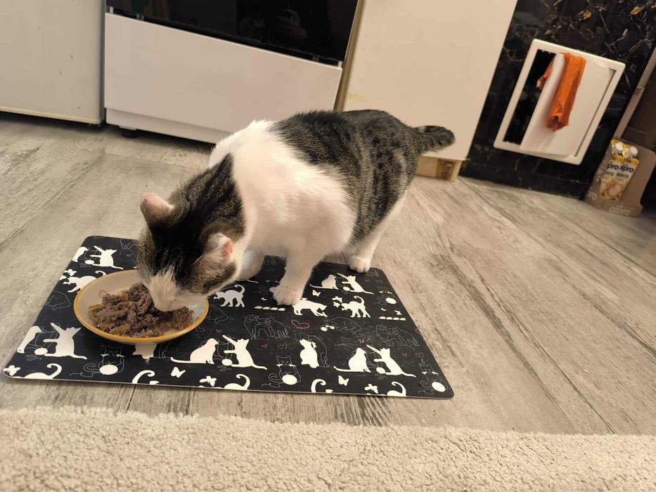 Dlaczego nikt Jej nie chce?..