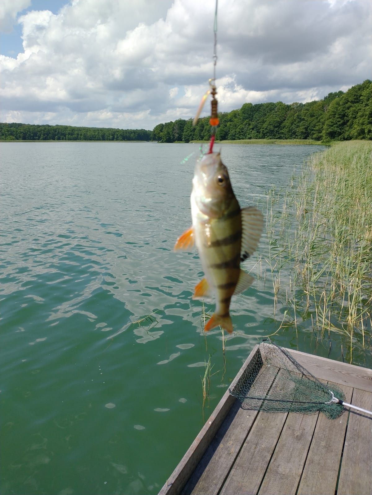 DOMEK NAD JEZIOREM nie nad morzem tu jest ciepło! Łódka, kajaki gratis