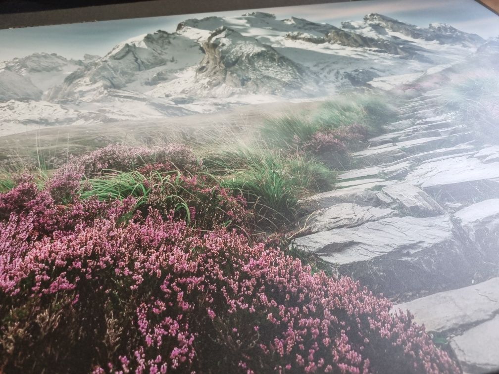 Displate góry plakat metalowy matowy rozmiar landscape L oryginalny