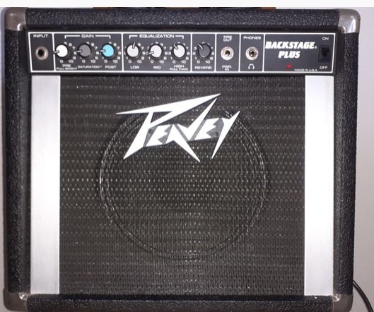 Peavey USA plus case