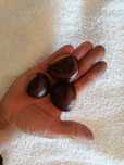 Castanhas apanhadas no domingo