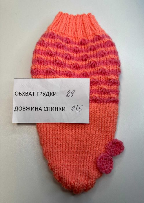 светри на маленьке цуценя щенка чихуахуа йорка