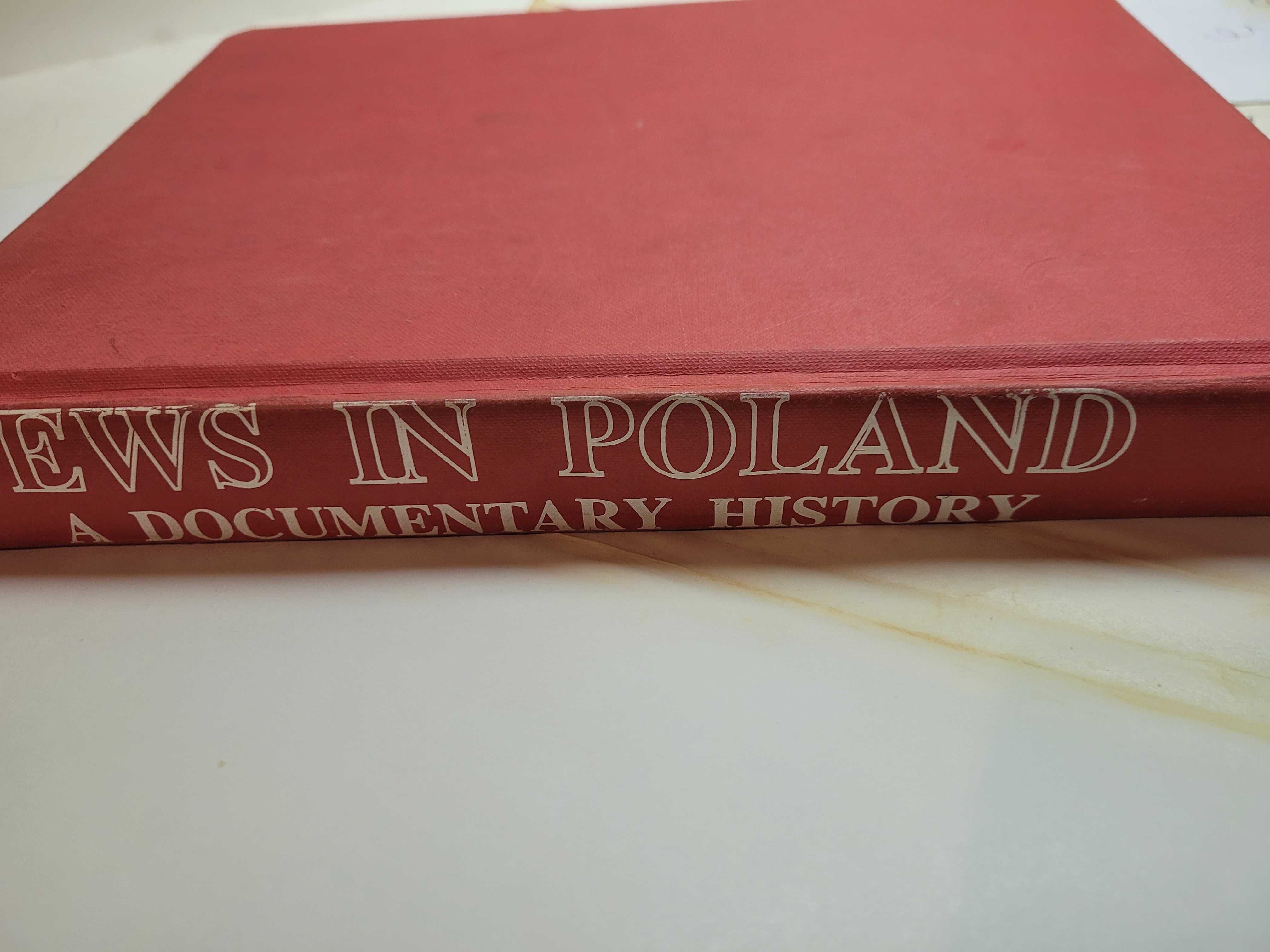 Jews in Poland a documentary history by Iwo Cyprian Pogonowski