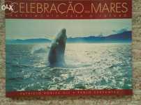 2 Eciclopedias novas os mares e desastres naturais