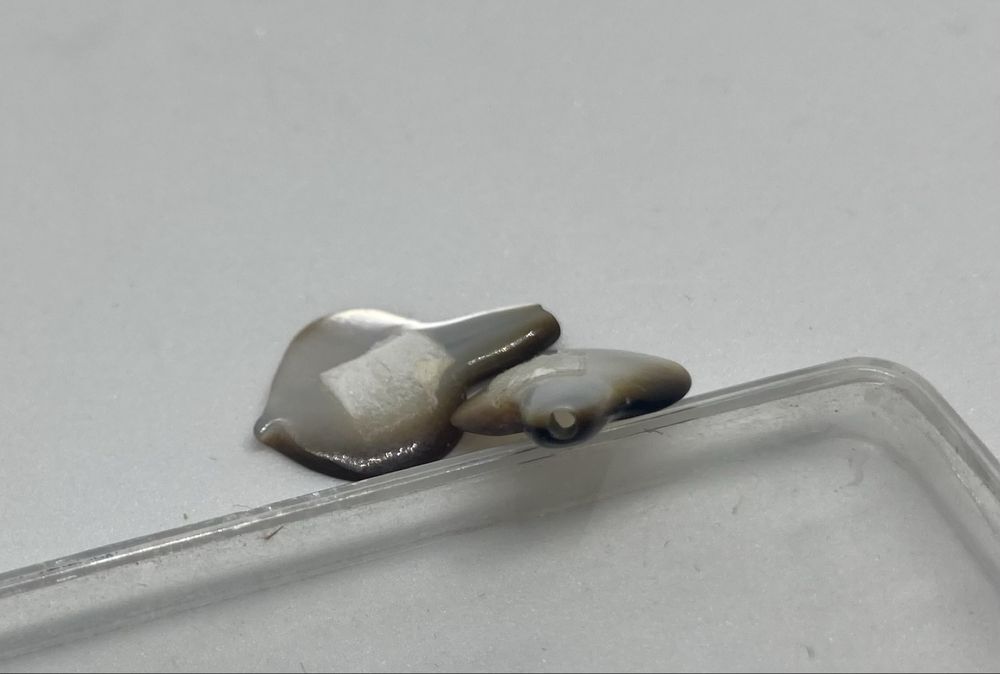 Conjunto de madrepérolas e par pérolas China