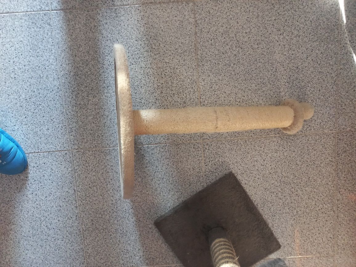 Arranhadores e wc para gato