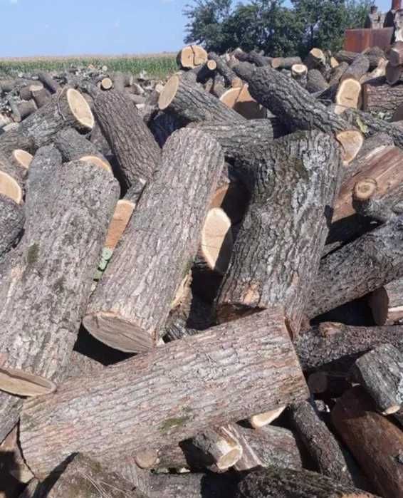 Дрова колотые метровые дуб для камина в Одессе