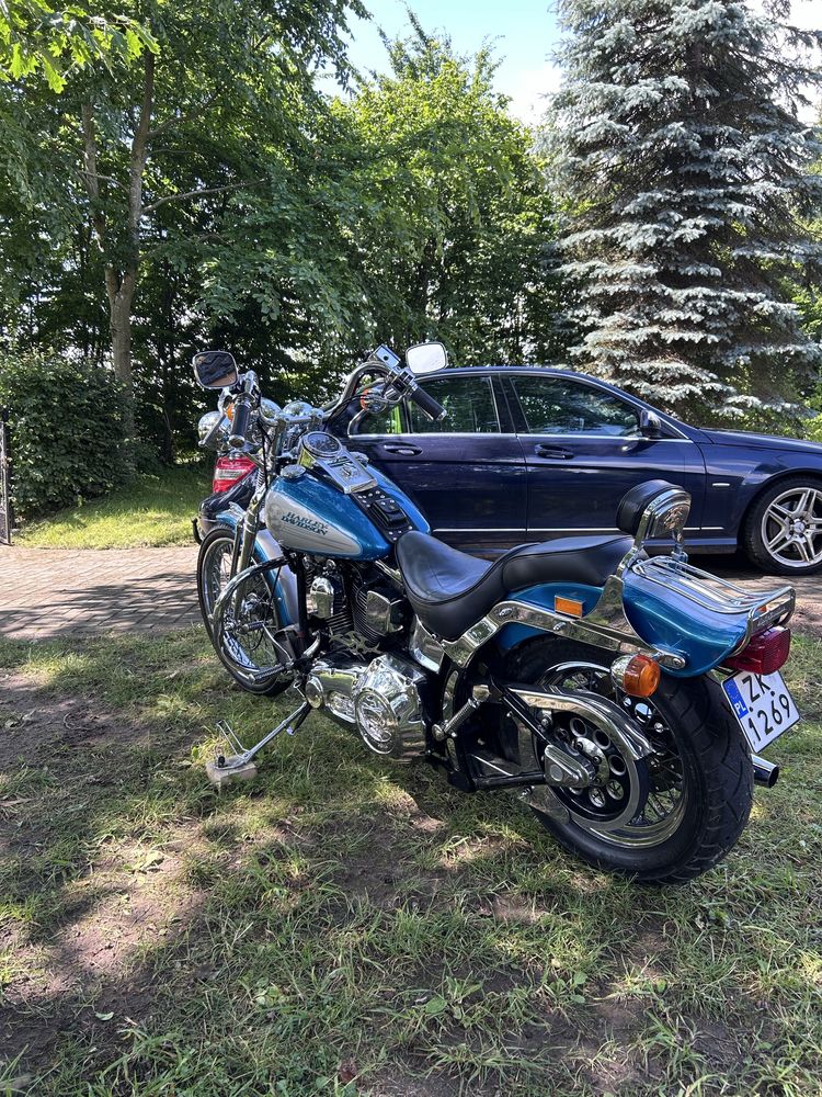 Harley davidson springer softail 1994