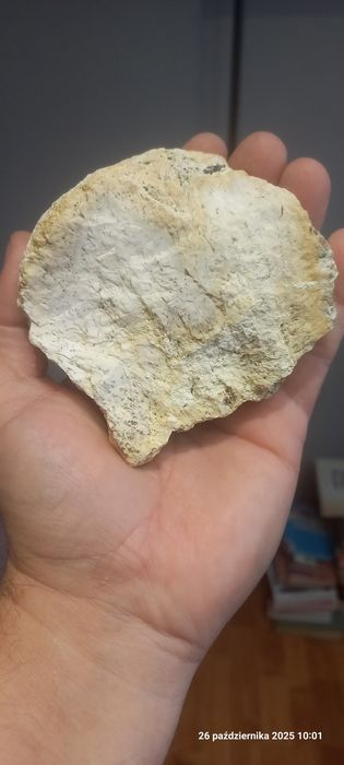 Minerały magnezyt z dendrytami