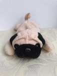 Pluszowy piesek mops Pugsly Ty Beanie Baby Plush 1996
