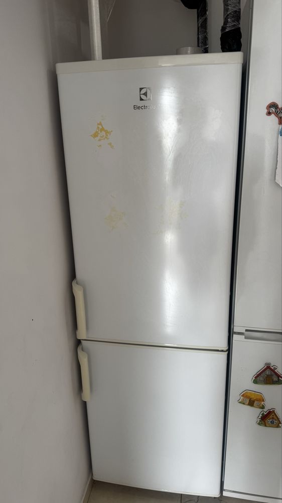Морозильная камера no frost Electrolux