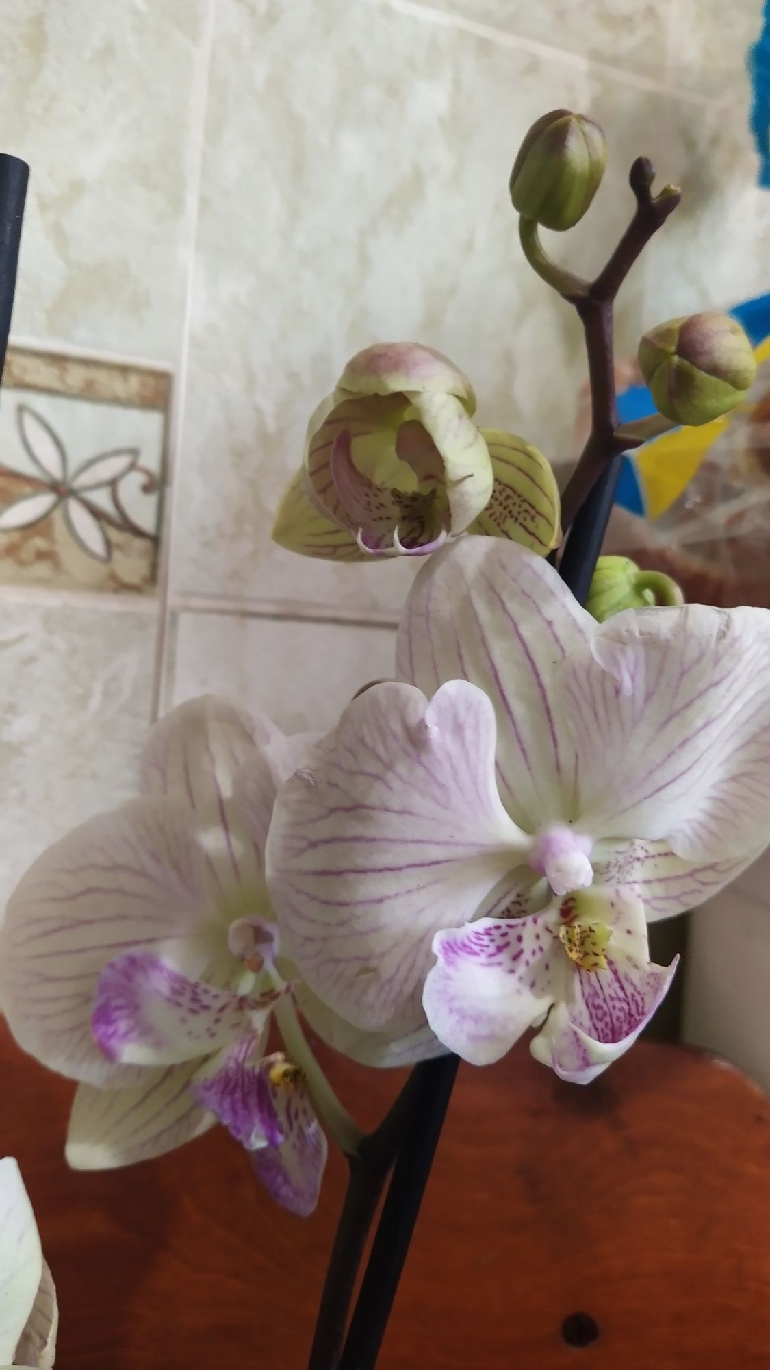 Посуда подарунок з квітами на весняне саято