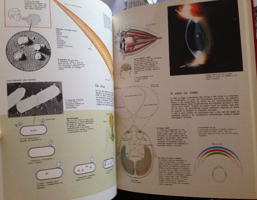 Enciclopédia ilustrada