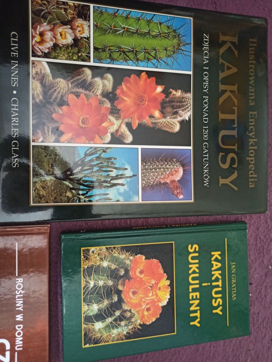 Kaktusy i sukulenty 101 porad encyklopedia poradnik