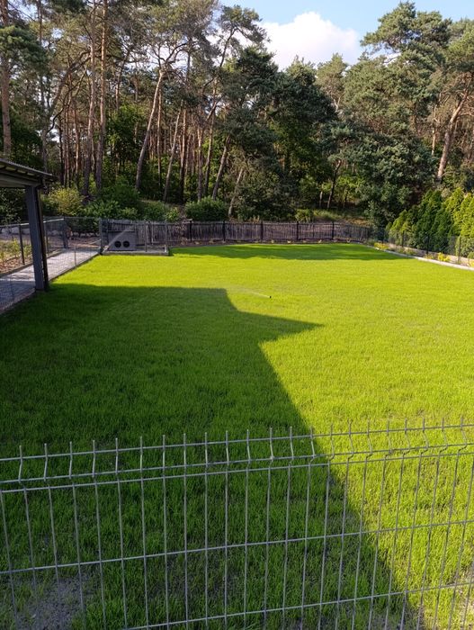 Ogród od A do Z Nawodnienie
