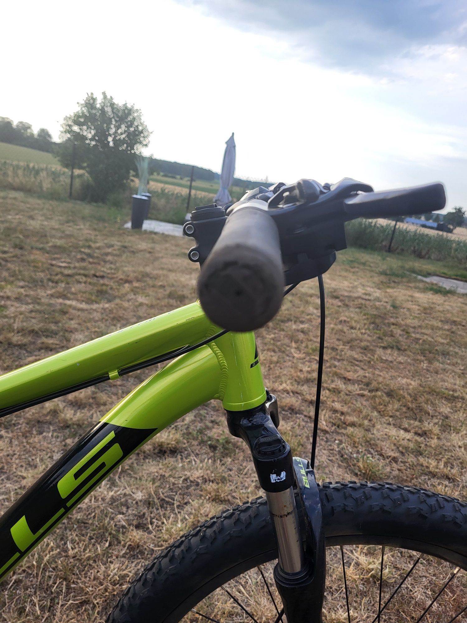 Rower bulls wildtail 1          26"