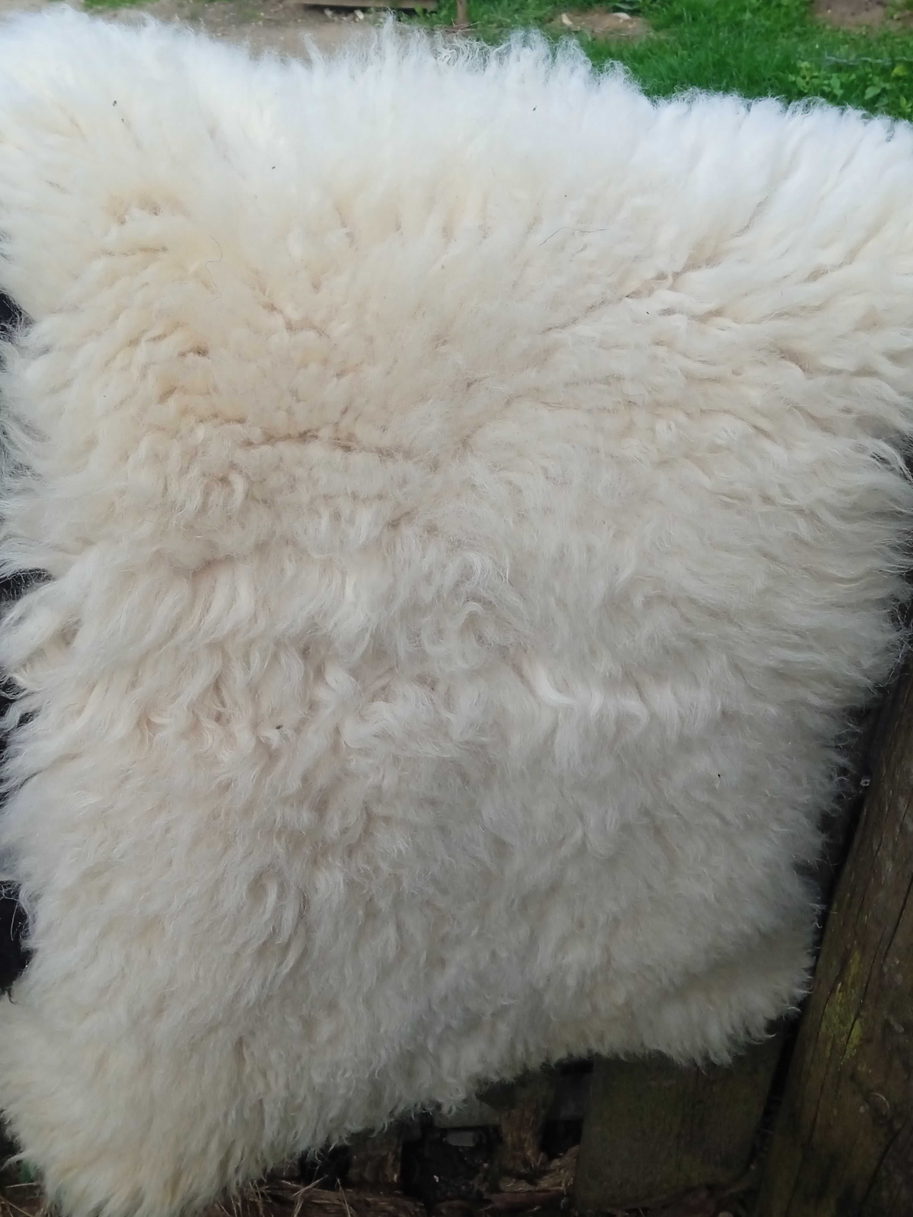 Шкури-коврики красиві під овечку,є і овечі