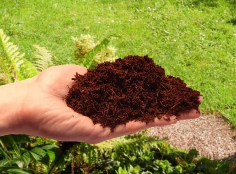 2 x WŁÓKNO KOKOSOWE do roślin i kwiatów 10mm 5L BIOVITA