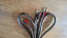 Real Cable TDC 500F 2x2m Audiquest
RealCable