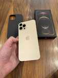 iPhone 12 Pro Max 256gb Gold