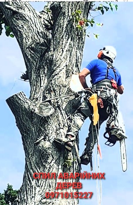 Зрізаємо дерева будь-якої складності(арбористика)!