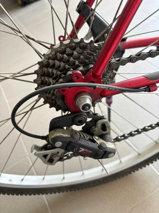 rower damski, górski WHEELER