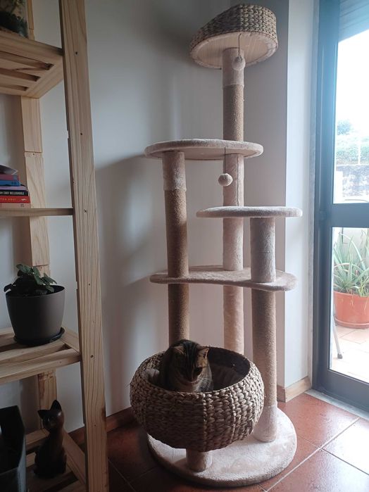 Torre arranhador para gato