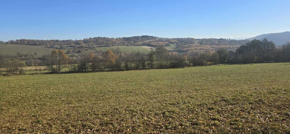 PIĘKNIE położone działki Sokolica-Krajanów z warunkami zabudowy