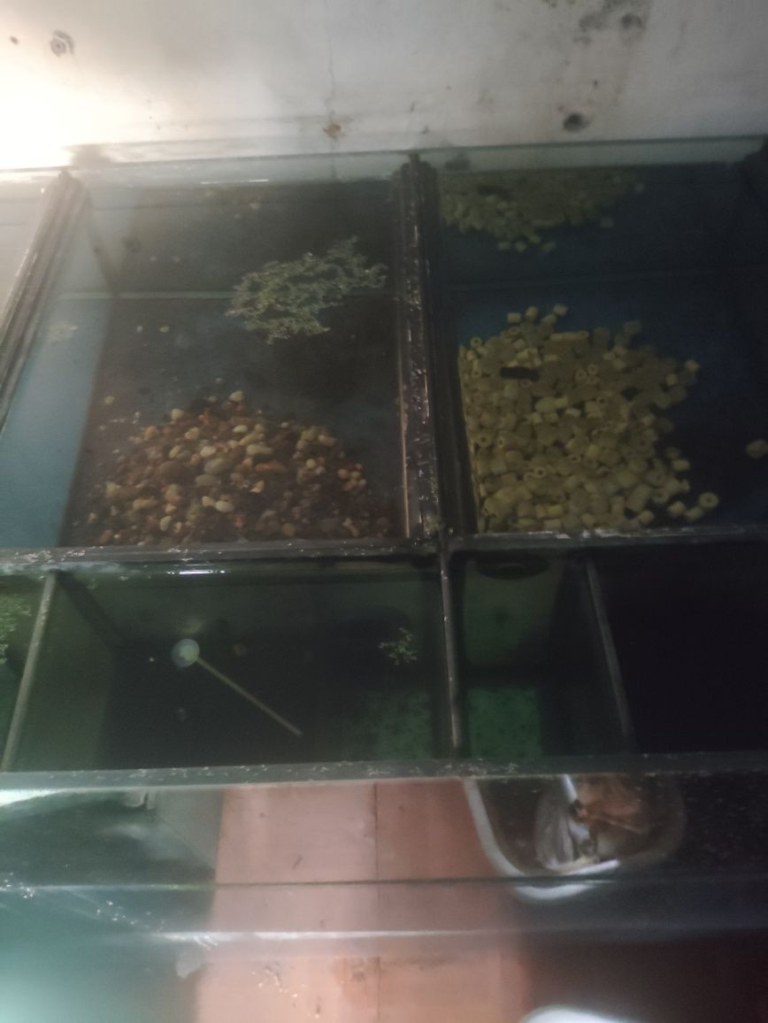 Vendo Aquário 150#65#30