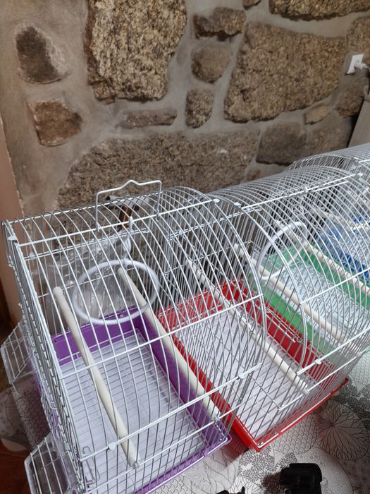 Gaiolas novas 10 euros