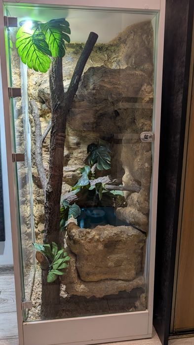 Terrarium dla węża  pyton boa zbożówka