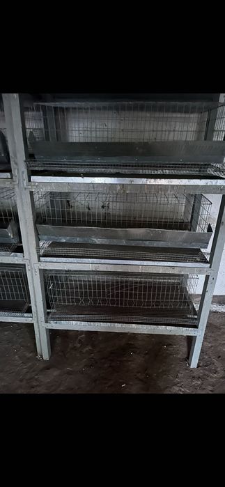 Клітки для перепілок